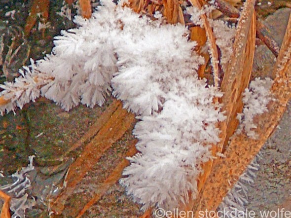 P1050153_edited-1 copy