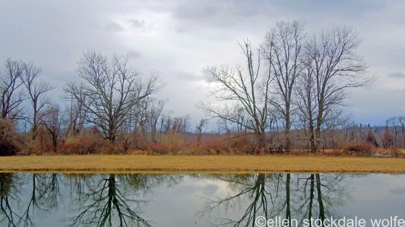 DSCN2465_edited-1 copy