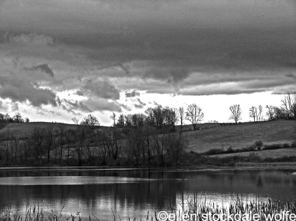 P1080878_edited-3 copy copy