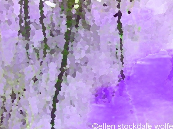 Violet Reflections copy