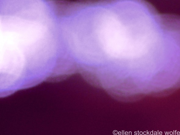 Violet Movement_edited-1-1_edited-1