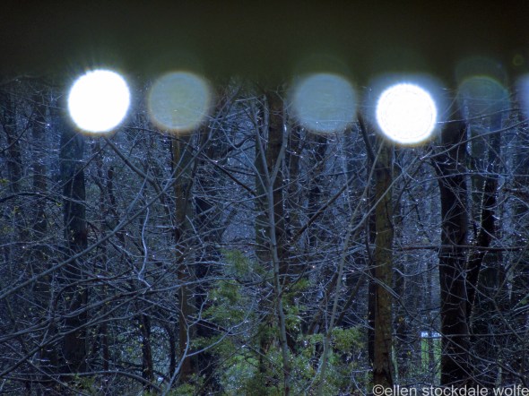 DSCN2569_edited-2 copy