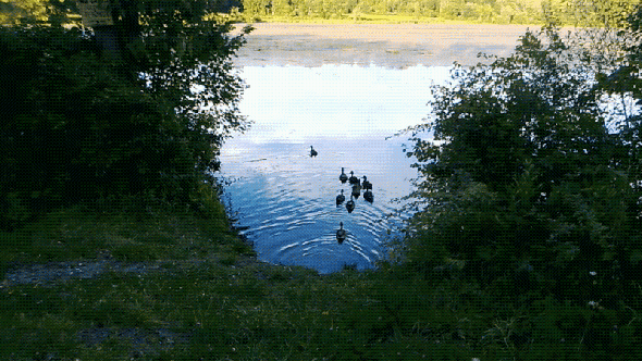 http---media.memories.nokia.com-media-cb94e20c-f6fa-48db-b66a-bc979488fd8a (1)