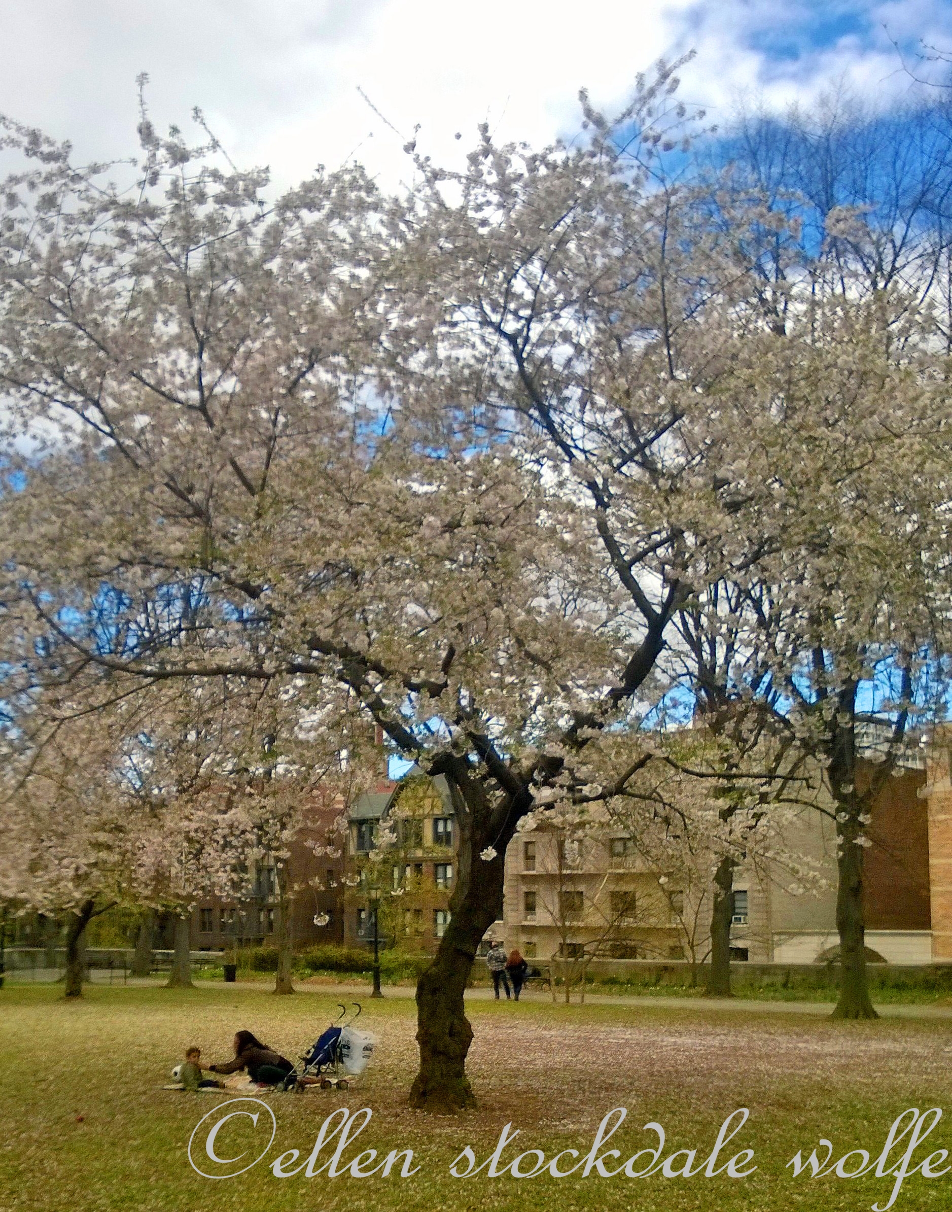 WP_20140427_026_edited-1