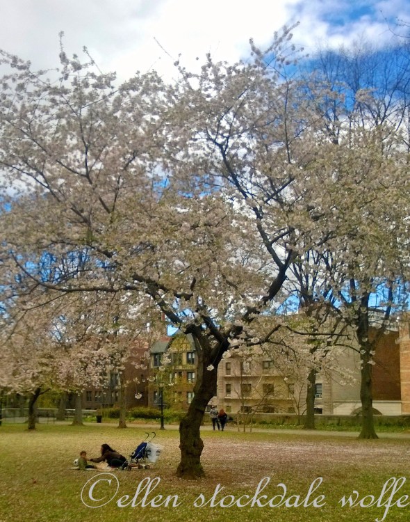 WP_20140427_026_edited-1