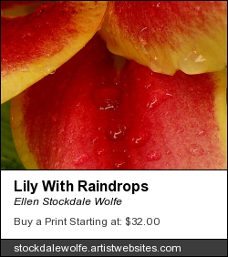 displayartworkartistwebsites (2)