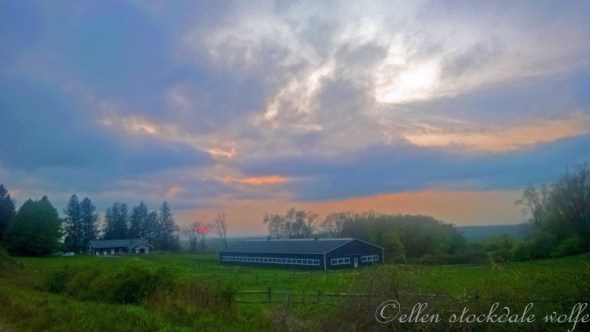 WP_20140514_012_edited-2