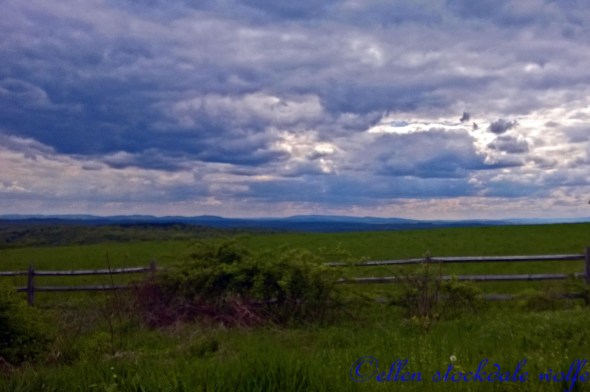 WP_20140518_001_edited-2