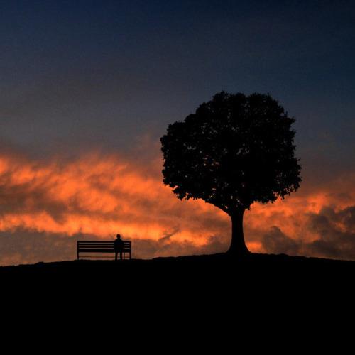 428612_359949517358456_2014223995_n