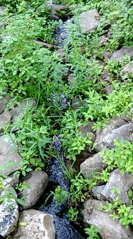 WP_20130818_13_56_38_Cinemagraph